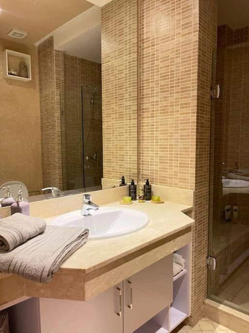 Big Luxuary appartment near airport sink